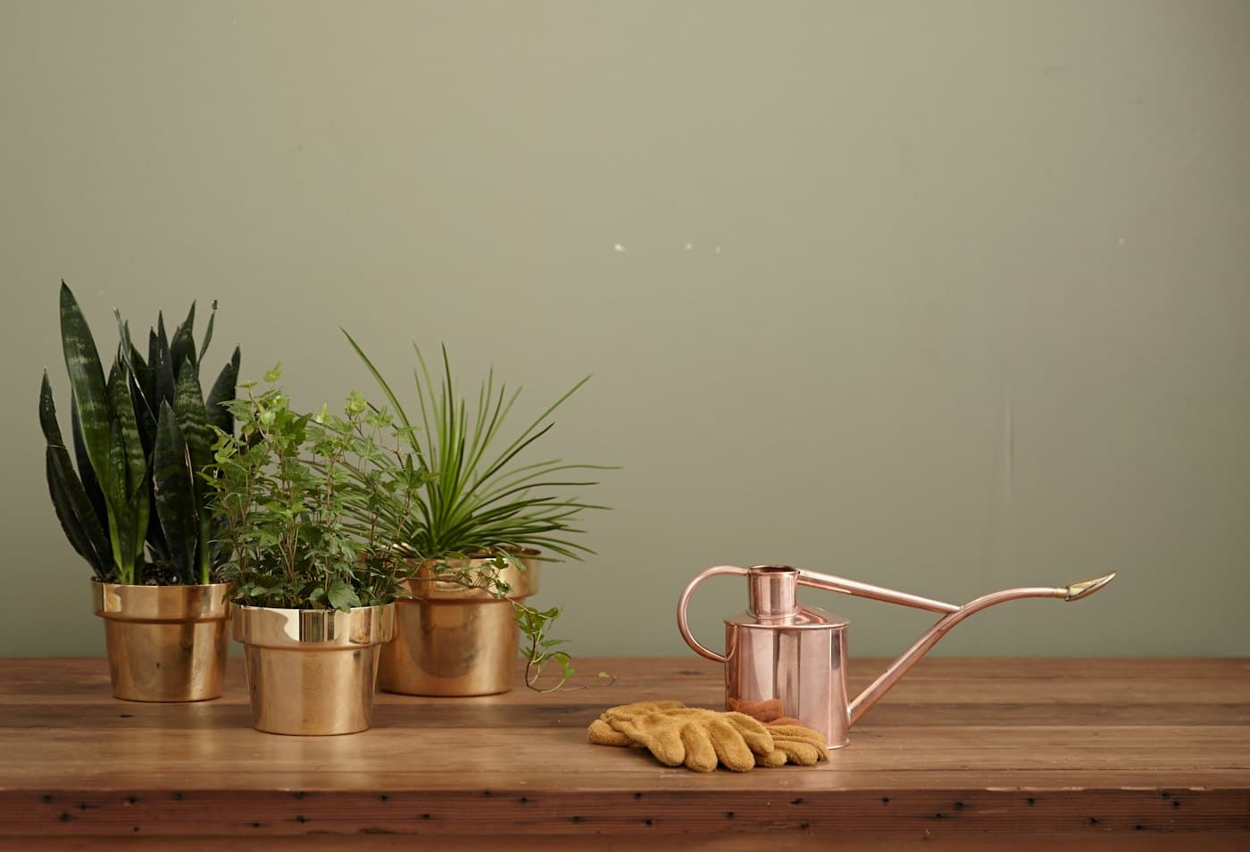 Copper watering can with a long spout on a wooden table beside potted plants
