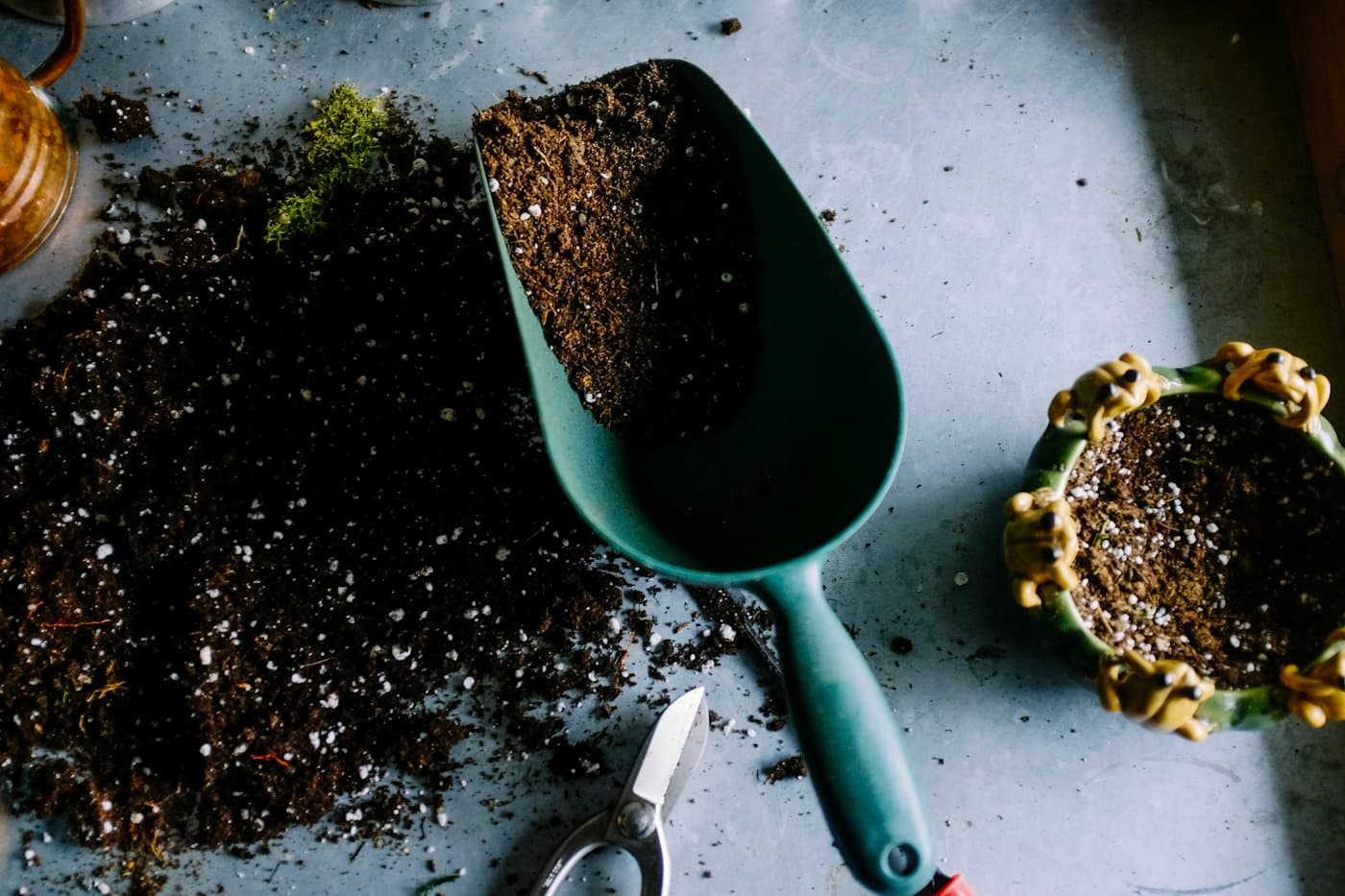 A scoop of dark potting soil mix beside a small planted pot