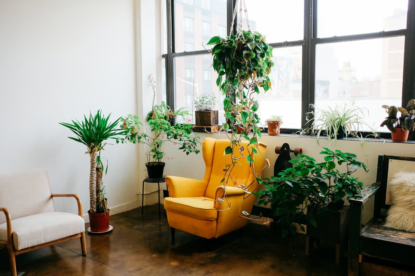 A bright corner full of houseplants, a hanging pothos and a yellow armchair beside tall windows